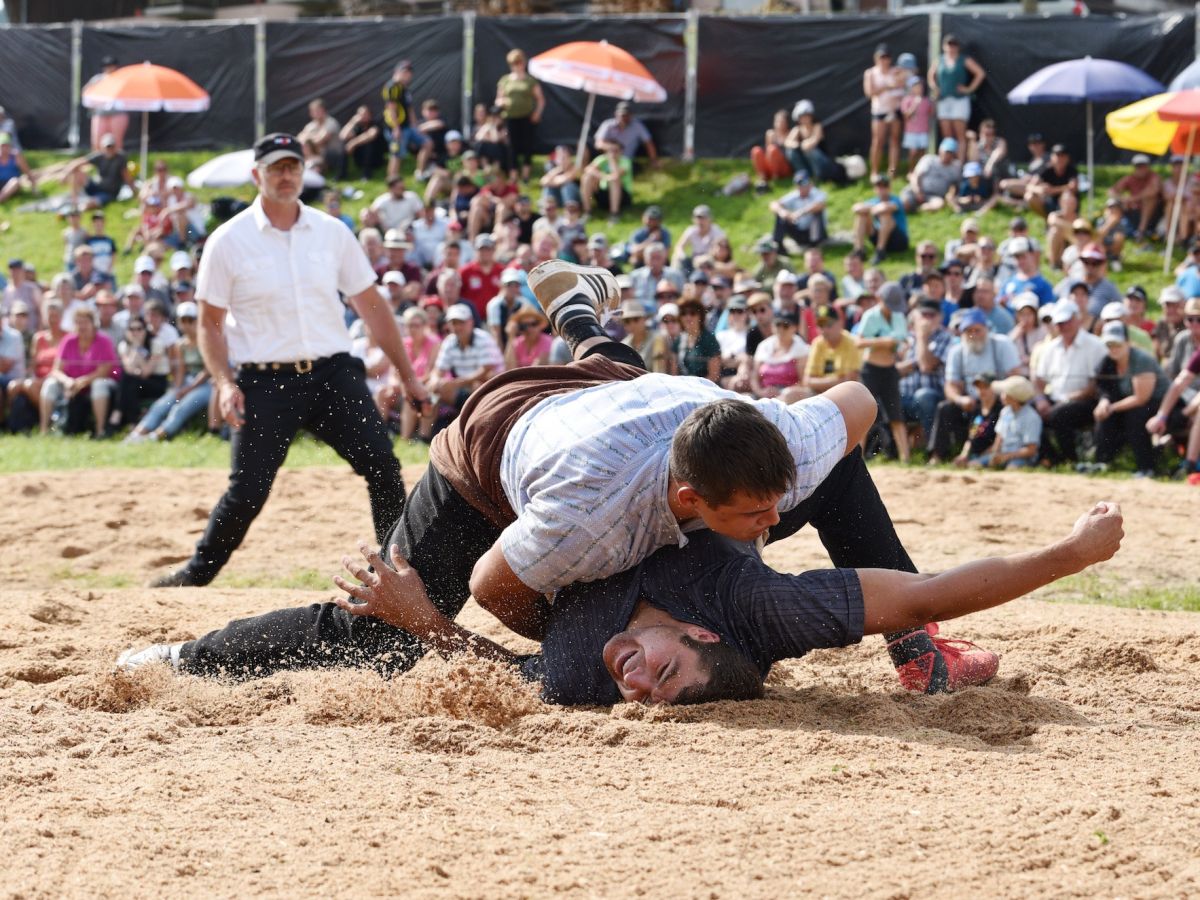 schlegel raebsamenjpg